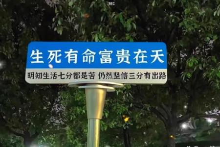 拿命换来的钱：那些让你心累的选择与无奈