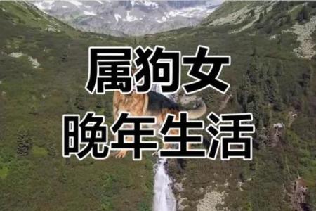 三月初七属狗女孩的命运解析：性格、事业与生活的秘密