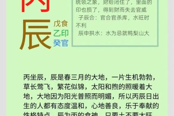 时柱松柏木命:探寻命理中的力量与智慧 时柱松柏木命:探寻命理中的力量与智慧