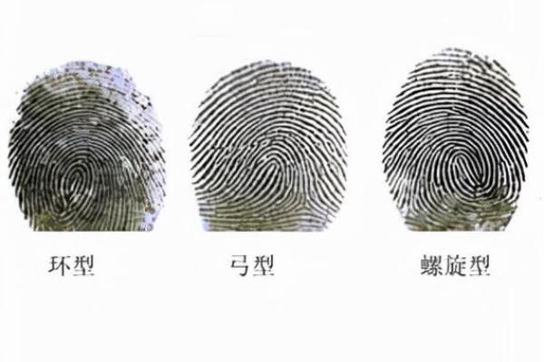 女人的命运:揭开两个螺纹背后的奥秘与启示 女人的命运:揭开两个螺纹背后的奥秘与启示