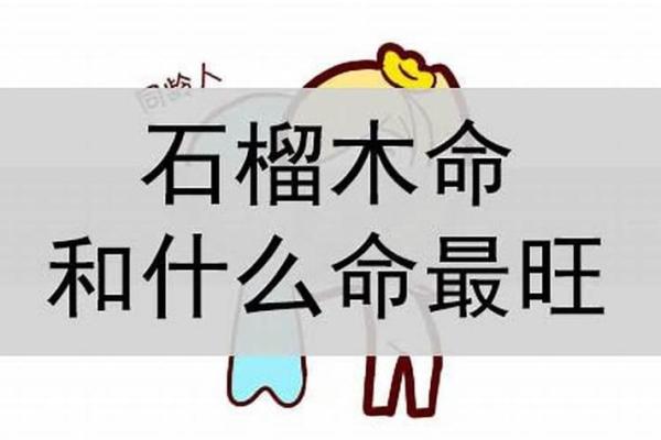 石榴木命的个性与命理：探索适合的五行组合与人生方向