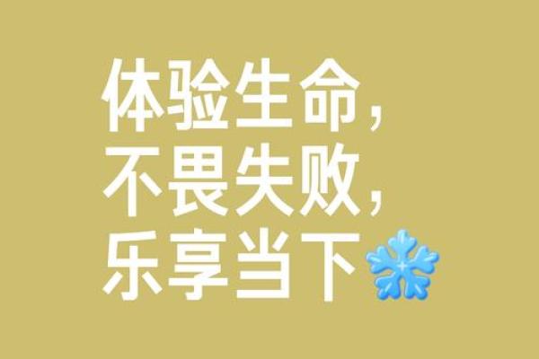 当生命被无情掠夺时，我体验到了什么是绝望与重生