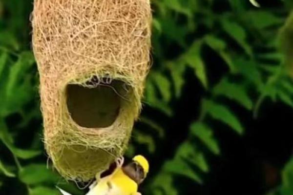 让心灵回归:申命记6章的智慧与启示 让心灵回归:申命记6章的智慧与启示