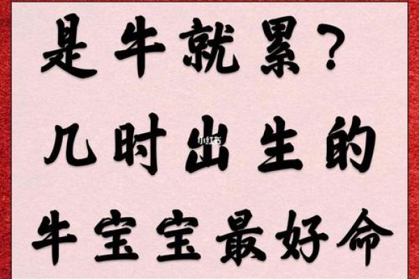 三月牛宝宝男孩的命运解析：性格、优势与未来规划