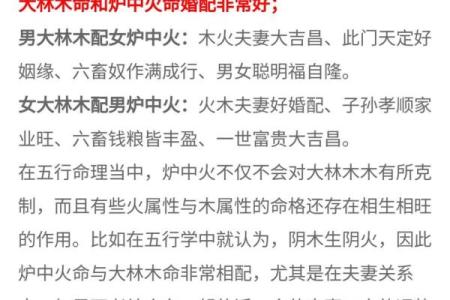 女子大林木命配什么命最合适？探寻命理与幸福的奥秘