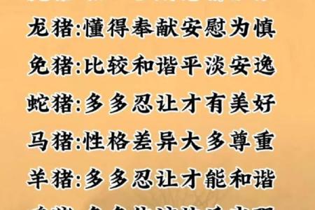 生肖猪的命理解析与最佳配对：探寻和谐幸福的关系