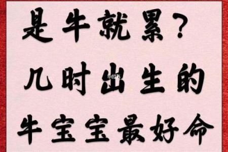 三月牛宝宝男孩的命运解析：性格、优势与未来规划