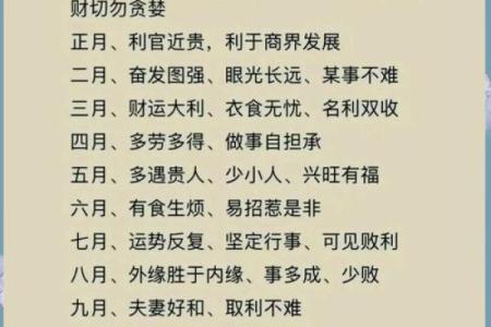 猴年属猴人命运解析：揭秘五行与人生轨迹的奥秘