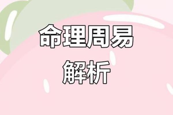命字在周易中的意义与启示:探索人生的奥秘与智慧 命字在周易中的意义与启示:探索人生的奥秘与智慧