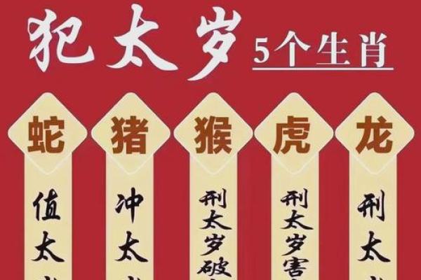 人民币命额生肖探秘:你的钱包背后藏着哪个生肖故事? 人民币命额生肖探秘:你的钱包背后藏着哪个生肖故事?