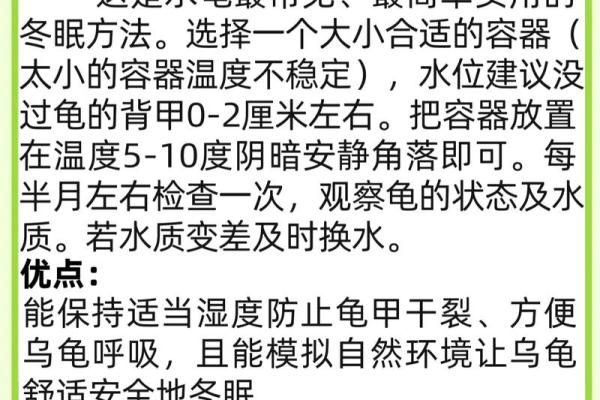 冬眠的龟：生命与智慧的抉择