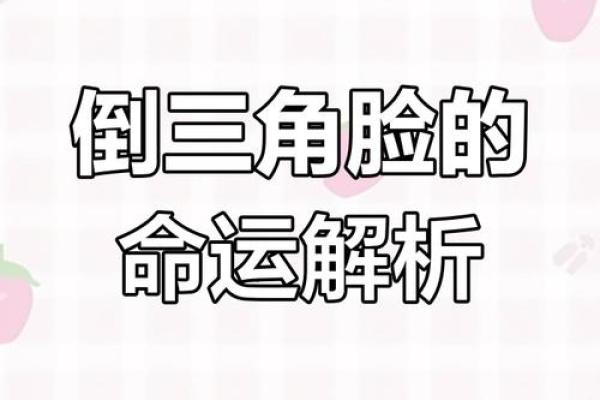 木命纹鱼的命理解析:揭开它的命运与性格之谜 木命纹鱼的命理解析:揭开它的命运与性格之谜