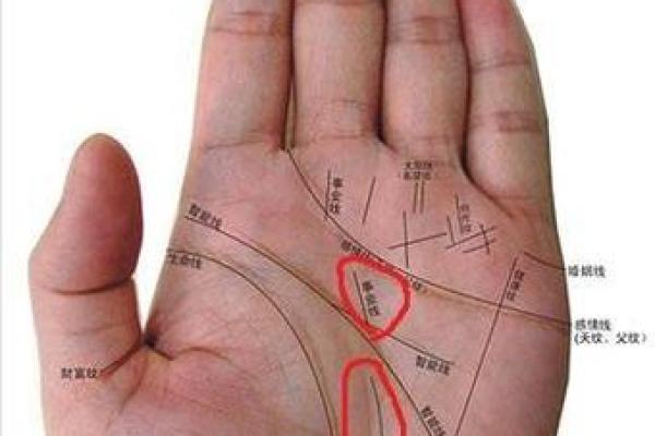 根据手纹如山川，揭示你命运的奥秘！