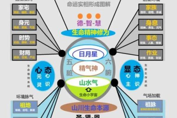 揭开东命与西四命的神秘面纱，探索命理与人生的奥秘