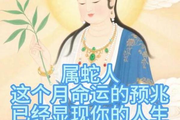 属蛇腊月十八出生的命运解析:神秘与智慧的结合 属蛇腊月十八出生的命运解析:神秘与智慧的结合