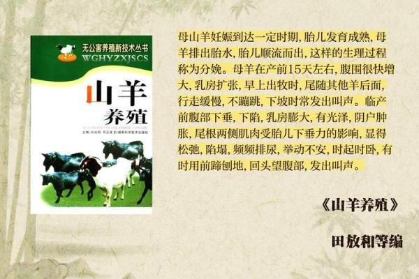 属羊之人与草之缘:揭示羊吃草的命理奥秘 属羊之人与草之缘:揭示羊吃草的命理奥秘