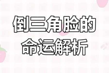 木命纹鱼的命理解析：揭开它的命运与性格之谜