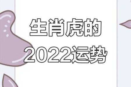七四年属虎的命运和财运解析：勇敢追梦的财富之路