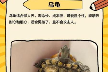 山头火命男适合养什么宠物？揭秘与性格相符的最佳选择！