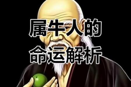 属牛之人在晚八点出生的命运分析与人生定位