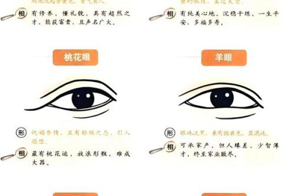 女人眼窝深陷的命运解析:透视内心世界的隐秘! 女人眼窝深陷的命运解析:透视内心世界的隐秘!