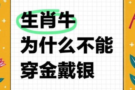 女属牛五行命理解析：揭秘温柔坚韧的她们