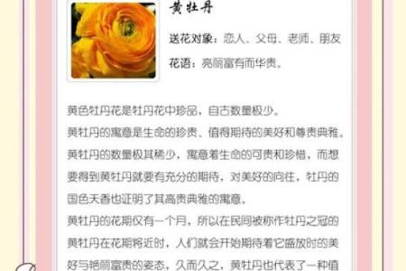 牡丹芙蓉命，解读人生的花语与命运的羁绊