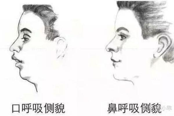 揭示男人下巴肉突出的秘密:性格与命运的隐秘联系 揭示男人下巴肉突出的秘密:性格与命运的隐秘联系