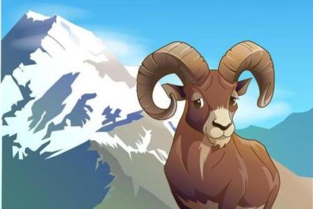 属羊申时猴林中玩：揭示命运与生肖的奇妙联系