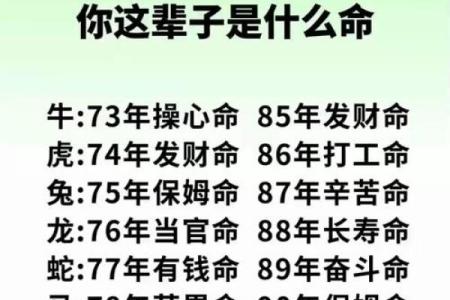揭示网红命格：怎样的命命能让你走上网络明星之路？