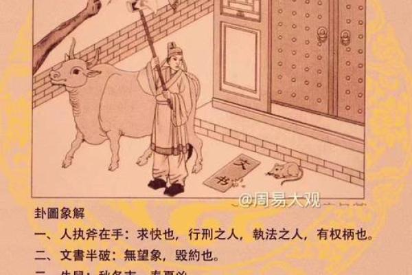 属牛女宝壁上土命:理解她的五行缺失与命格补救之道 属牛女宝壁上土命:理解她的五行缺失与命格补救之道