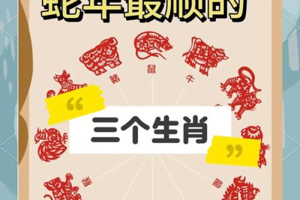 揭秘：这些生肖的人为何一生难逃不幸的命运！