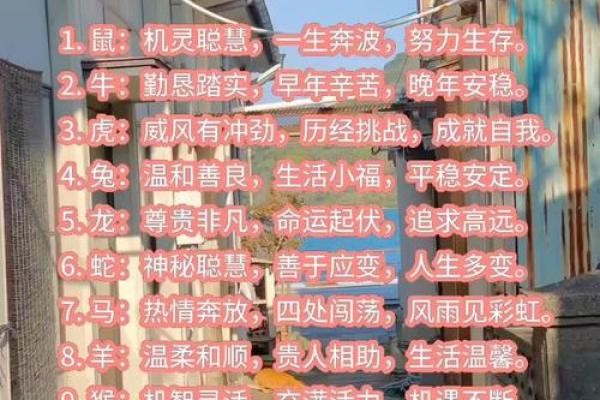 揭秘：这些生肖的人为何一生难逃不幸的命运！