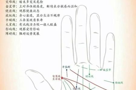 女人手掌纹路：解读命运的秘密武器