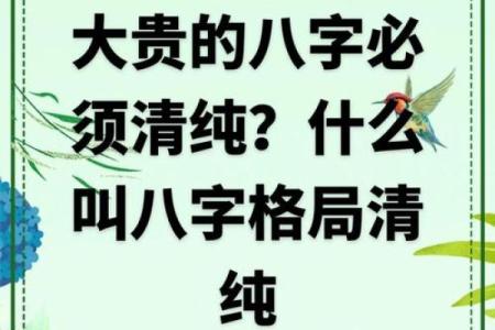 了解八字中的金命，揭示你与财富的命运之缘