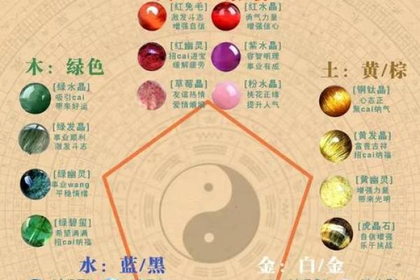 揭秘：体型最小的五行属什么命，揭示生命的奥秘与智慧！