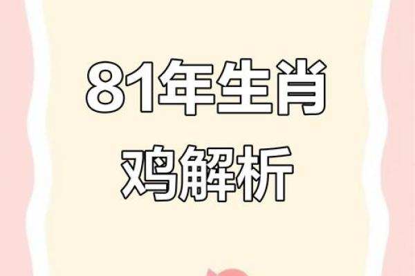 属鸡中午出生的命理分析与生活指导 属鸡中午出生的命理分析与生活指导