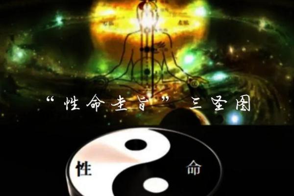 七品三命:解锁命运的智慧与奥秘 七品三命:解锁命运的智慧与奥秘