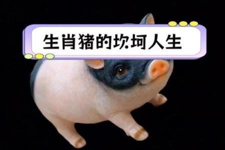 生肖猪38岁后的命运解析，开启人生新篇章！