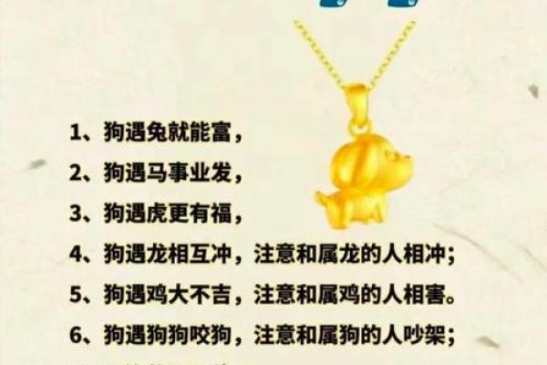 十月土兔命的命理解析:缺什么就该戴什么,以趋吉避凶! 十月土兔命的命理解析:缺什么就该戴什么,以趋吉避凶!