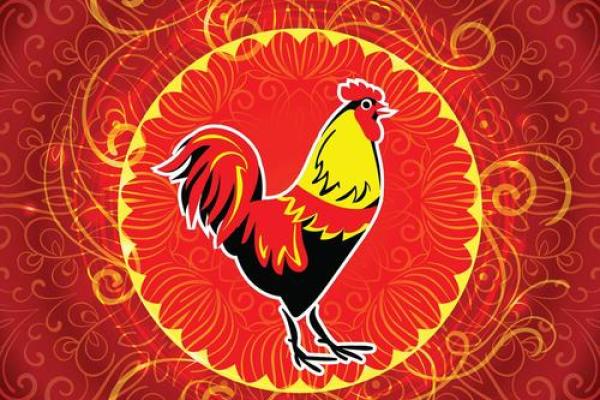 2029年鸡年:命运的启示与人生的智慧 2029年鸡年:命运的启示与人生的智慧