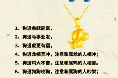 十月土兔命的命理解析：缺什么就该戴什么，以趋吉避凶！