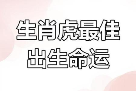 属虎61岁：揭秘最适合的命运与人生道路