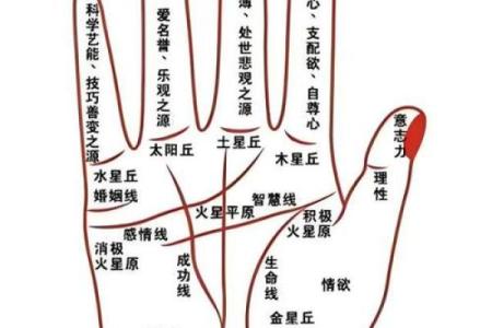 不可小觑的手纹：揭示命运的隐秘信号