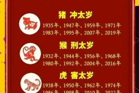 生肖猪大五岁属什么命：探索五年之中的神秘命运