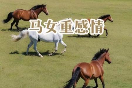 揭秘生肖七的命理：你所不知道的属马之人