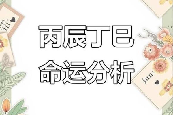 沙中土命与什么命最合用:命理配对之道探析 沙中土命与什么命最合用:命理配对之道探析