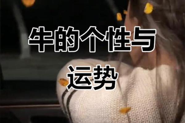 属牛的九月命运分析:探秘这份独特命格的魅力与挑战! 属牛的九月命运分析:探秘这份独特命格的魅力与挑战!