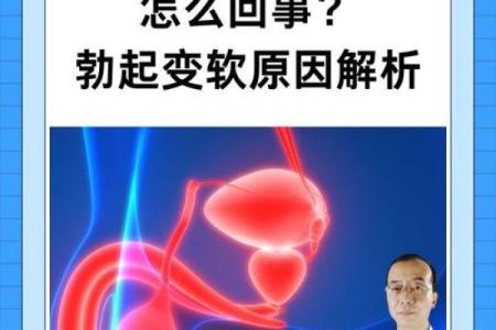 揭秘：为什么男命烂命居多？从生活习惯与心理因素剖析