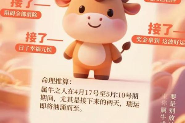 属牛孩子命理分析：选择最适合的命款助力成长